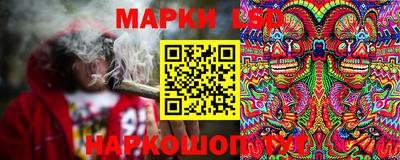 прущие грибы Ирбит