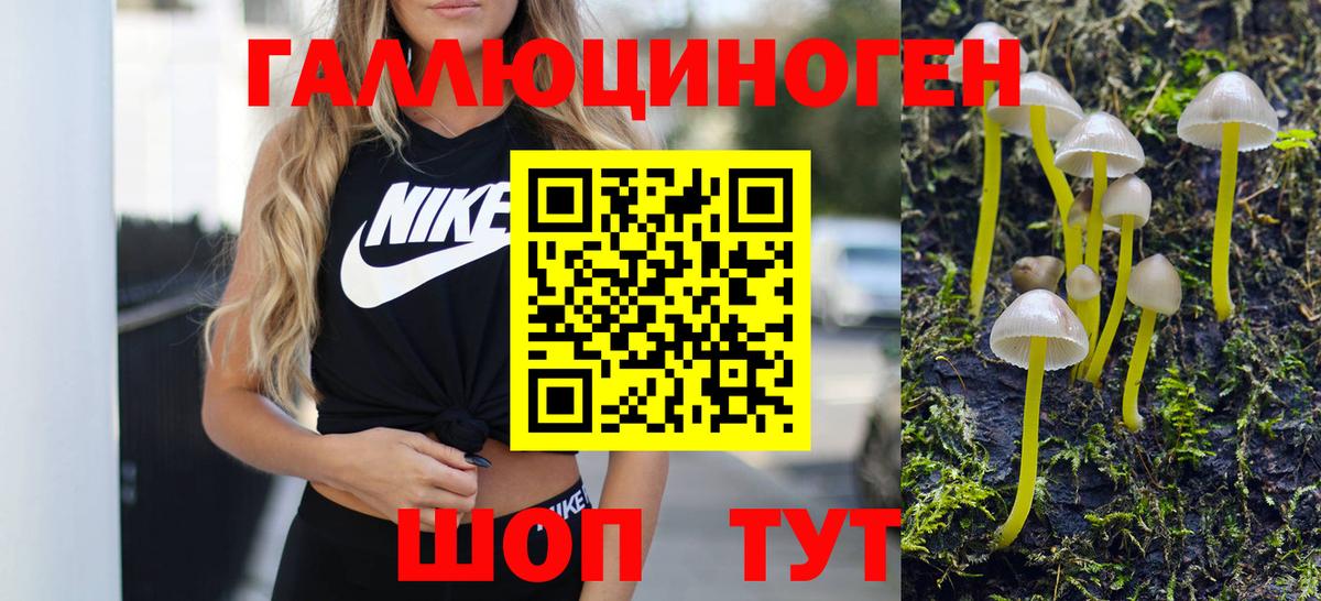 Галлюциногенные грибы мицелий Ленинск-Кузнецкий